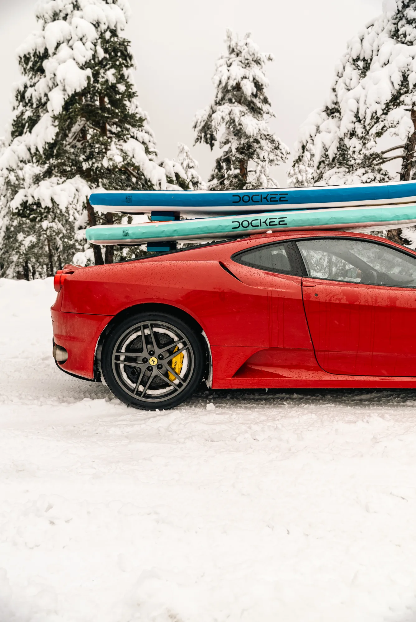Winter hues and a scarlet dream.
