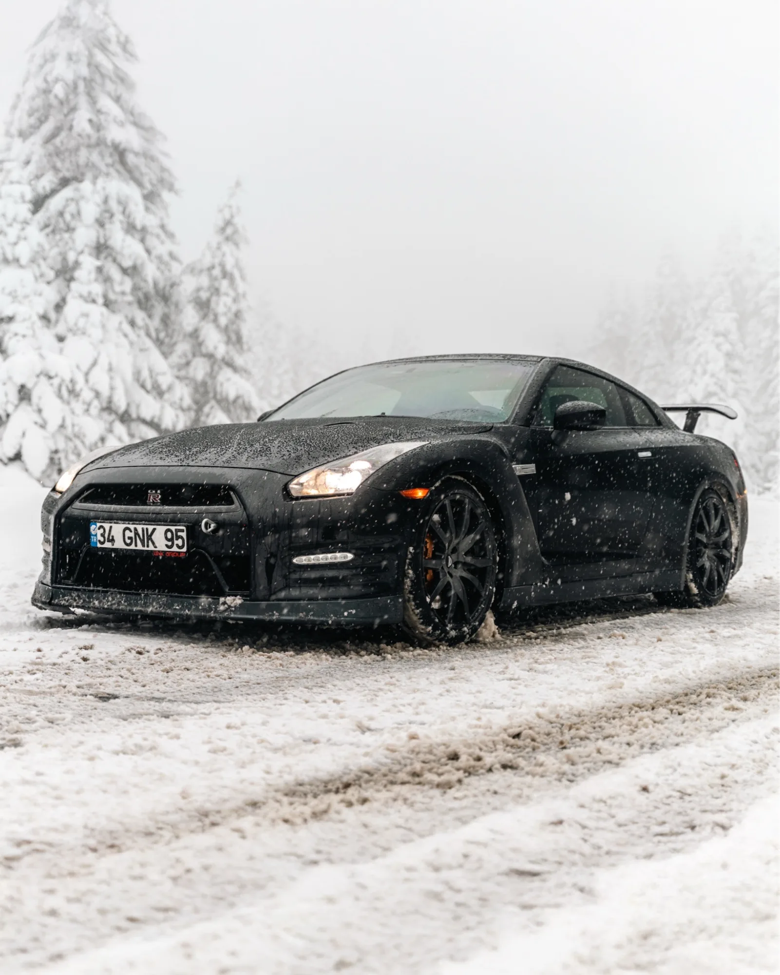 Winter's monochrome symphony.