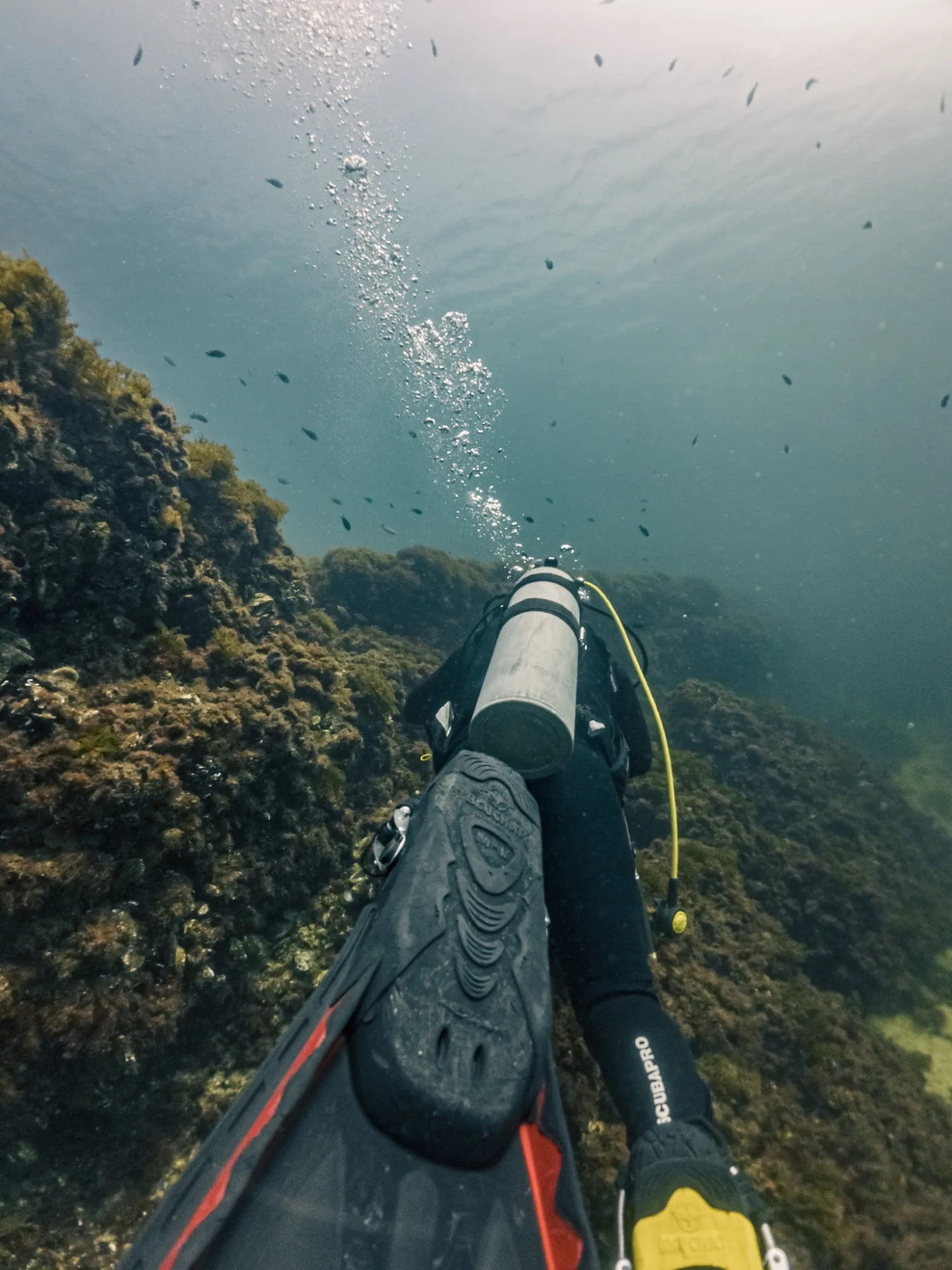 underwater