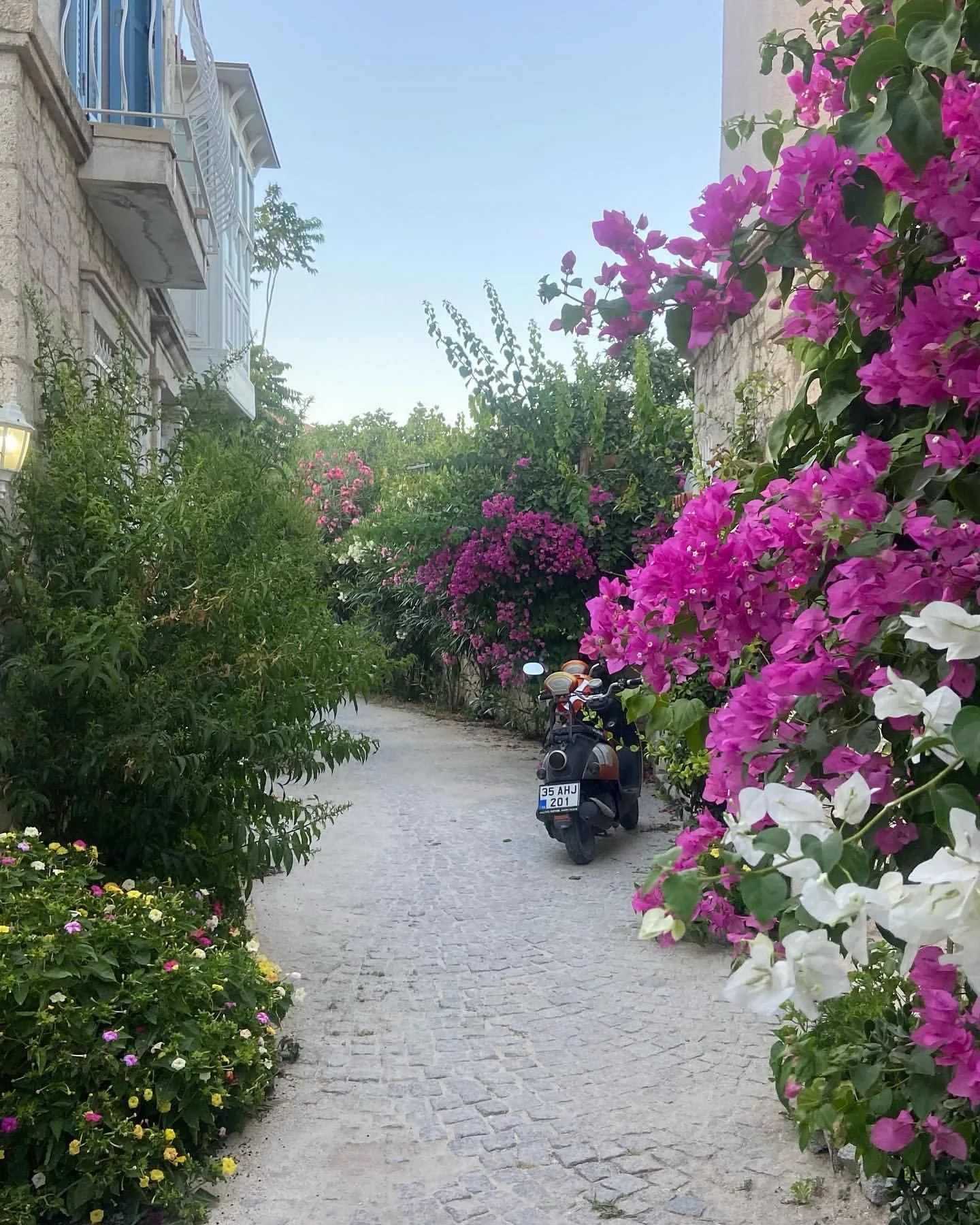 Stone paths and bougainvillea dreams.